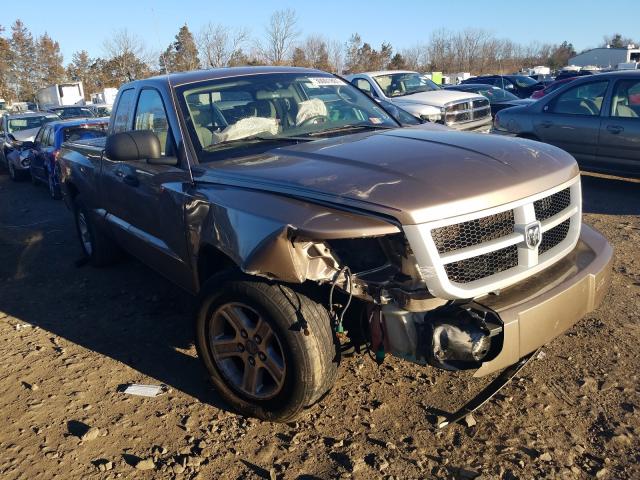 DODGE DAKOTA SXT 2010 1d7cw3bk8as104226