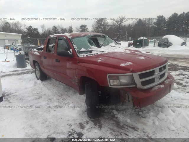 DODGE DAKOTA 2010 1d7cw3gk1as203334