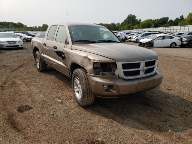 DODGE DAKOTA SXT 2010 1d7cw3gk2as108278