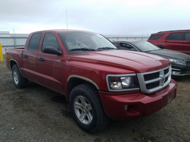 DODGE DAKOTA SXT 2010 1d7cw3gk2as228307