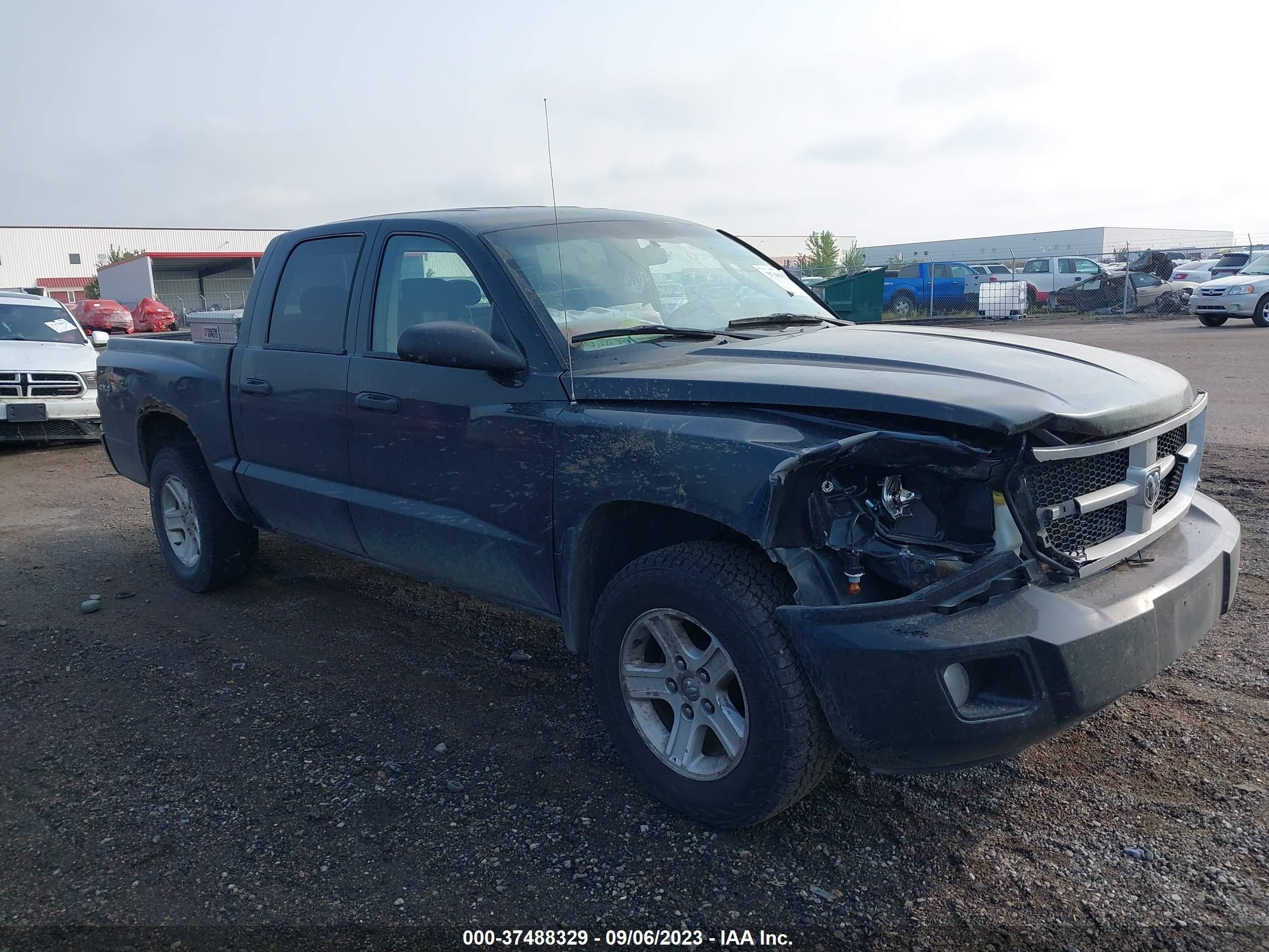 DODGE DAKOTA 2010 1d7cw3gk5as184142