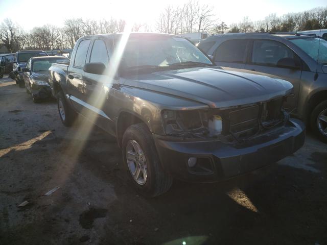 DODGE DAKOTA SXT 2010 1d7cw3gk7as228285