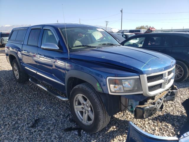 DODGE DAKOTA SXT 2010 1d7cw3gkxas110439