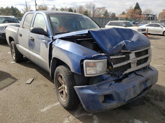 DODGE DAKOTA SXT 2010 1d7cw3gp0as146054