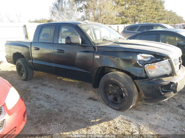 DODGE DAKOTA 2010 1d7cw3gp0as184741