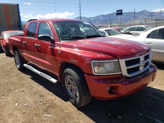 DODGE DAKOTA SXT 2010 1d7cw3gp1as130817