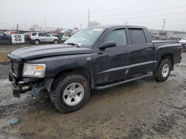 DODGE DAKOTA SXT 2010 1d7cw3gp4as166601