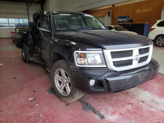 DODGE DAKOTA SXT 2010 1d7cw3gp7as130854