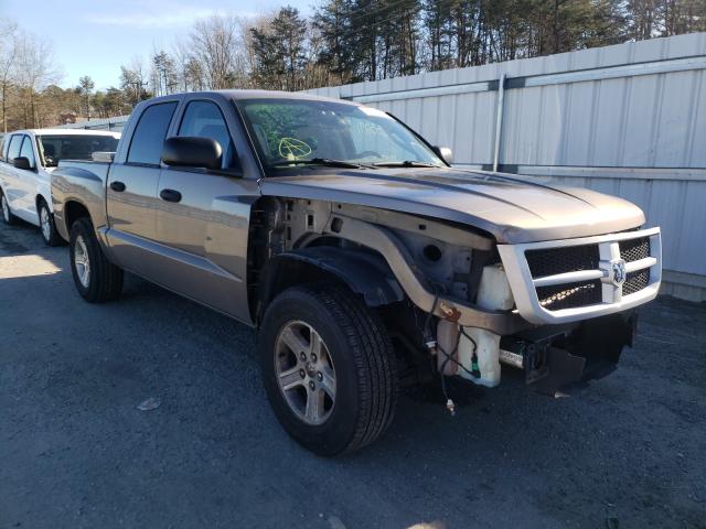 DODGE DAKOTA SXT 2010 1d7cw3gp8as140082