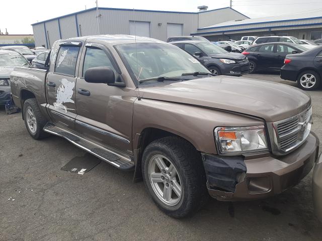 DODGE DAKOTA LAR 2010 1d7cw5gp2as199642