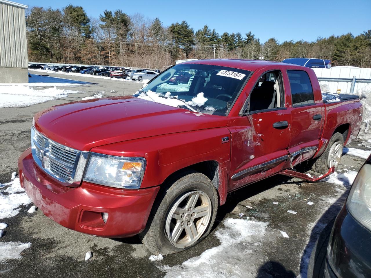 DODGE DAKOTA 2010 1d7cw5gp3as199651