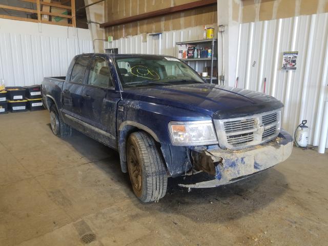 DODGE DAKOTA LAR 2010 1d7cw5gp6as148080