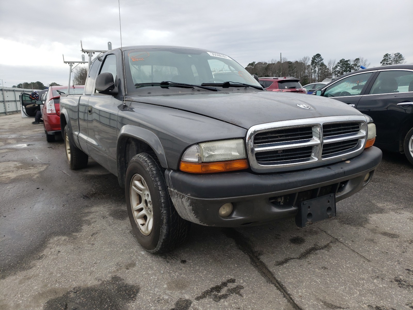 DODGE DAKOTA SPO 2004 1d7gl32kx4s559013