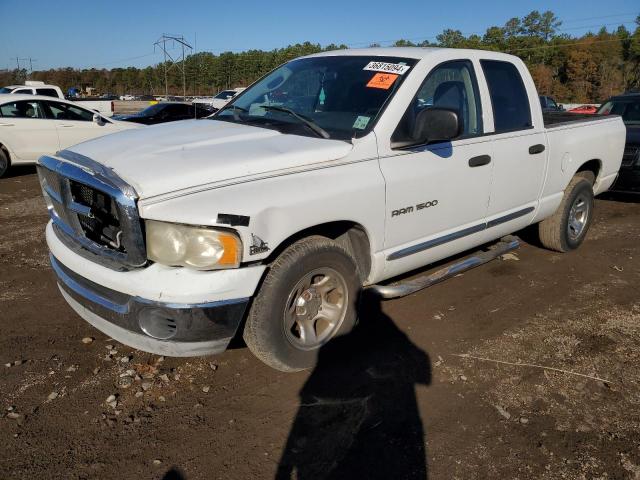 DODGE RAM 1500 2005 1d7ha18d05s103174