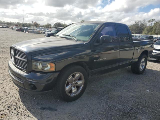 DODGE RAM 1500 2004 1d7ha18n04s543080