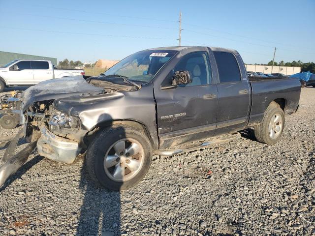 DODGE RAM 1500 2002 1d7ha18n82s642131