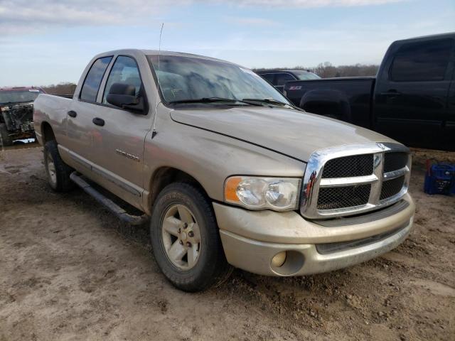 DODGE RAM 1500 2002 1d7ha18z22j148470