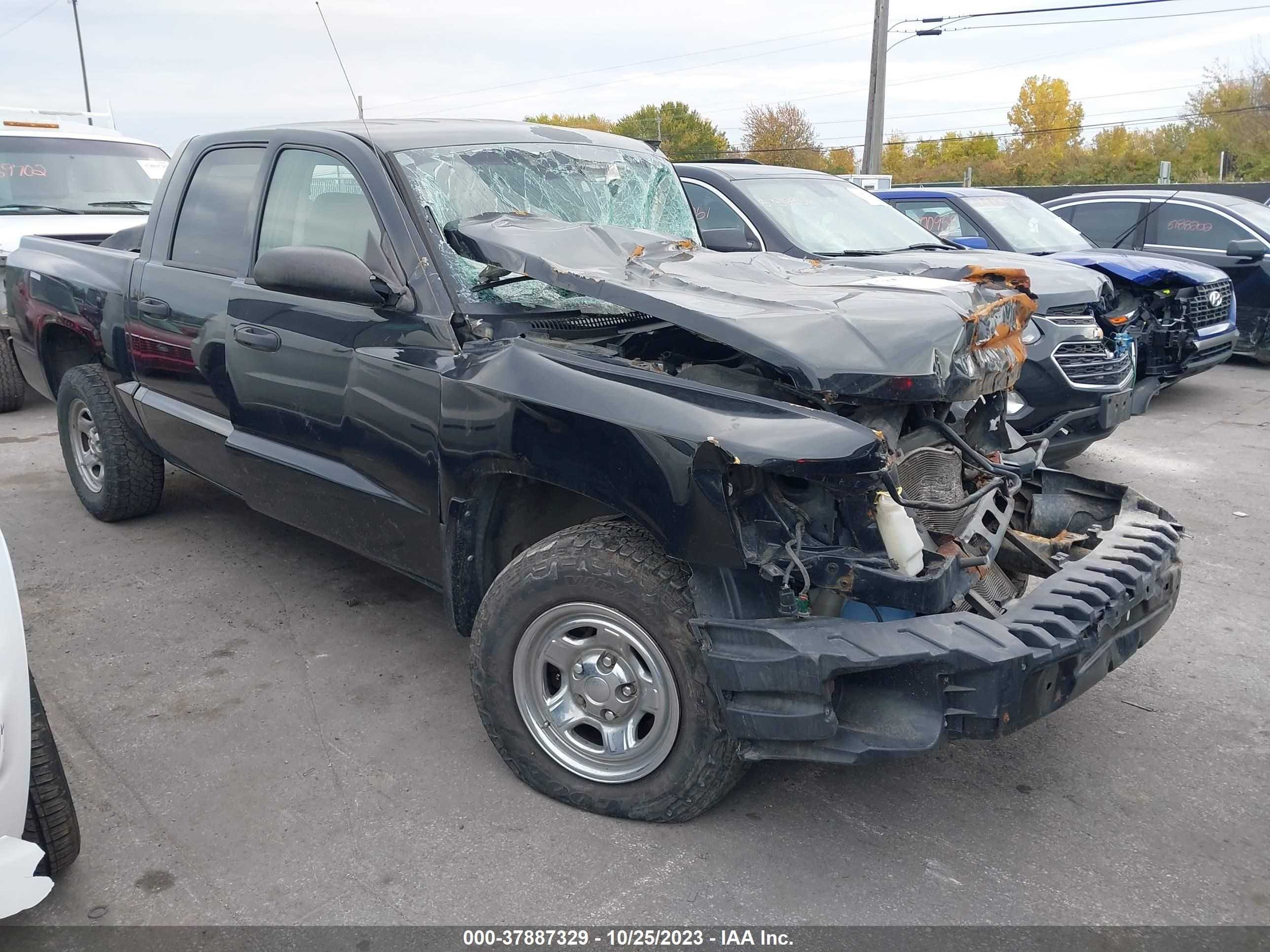 DODGE DAKOTA 2009 1d7he28k09s794429