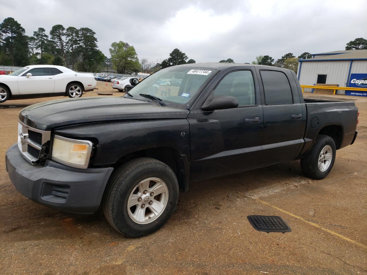 DODGE DAKOTA 2008 1d7he38k58s570206