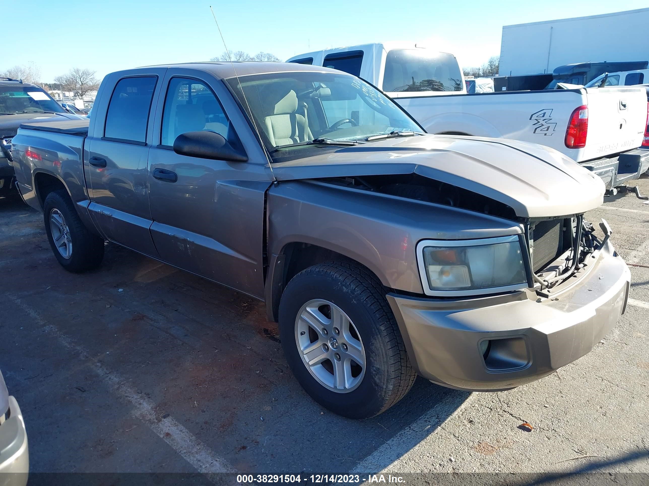 DODGE DAKOTA 2009 1d7he38k59s805382