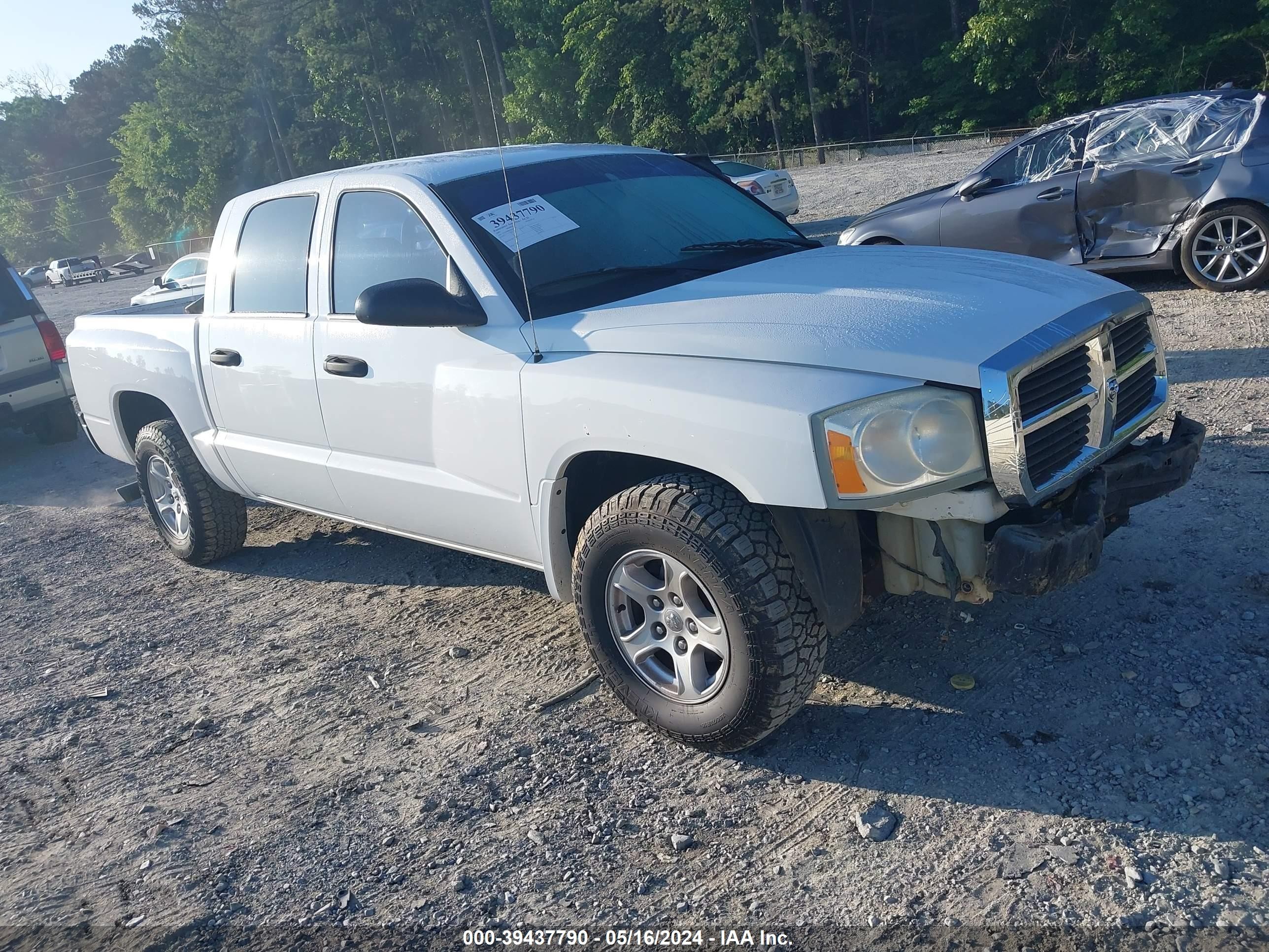 DODGE DAKOTA 2005 1d7he48k65s341616