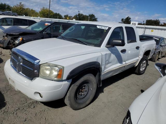 DODGE DAKOTA QUA 2005 1d7he48n05s247371