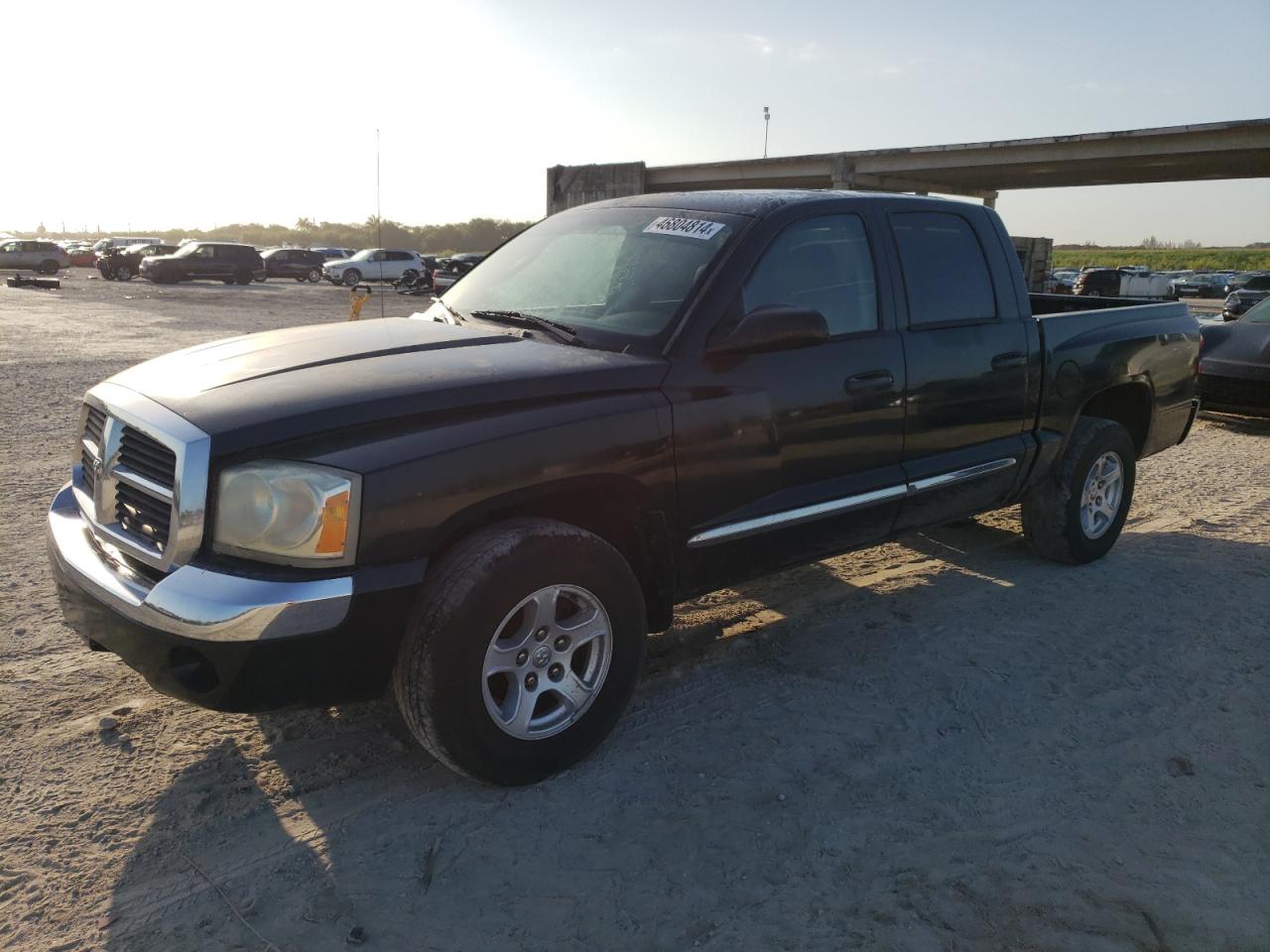 DODGE DAKOTA 2006 1d7he58n56s556602