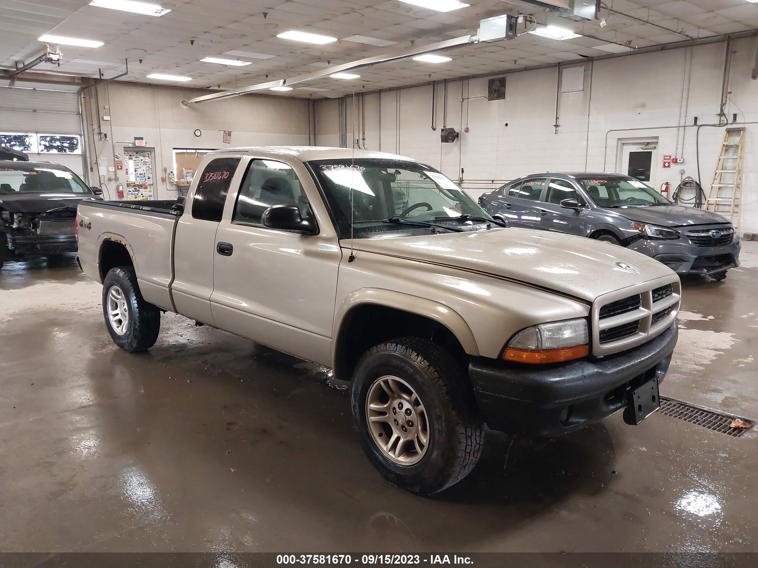 DODGE DAKOTA 2003 1d7hg12x43s368677