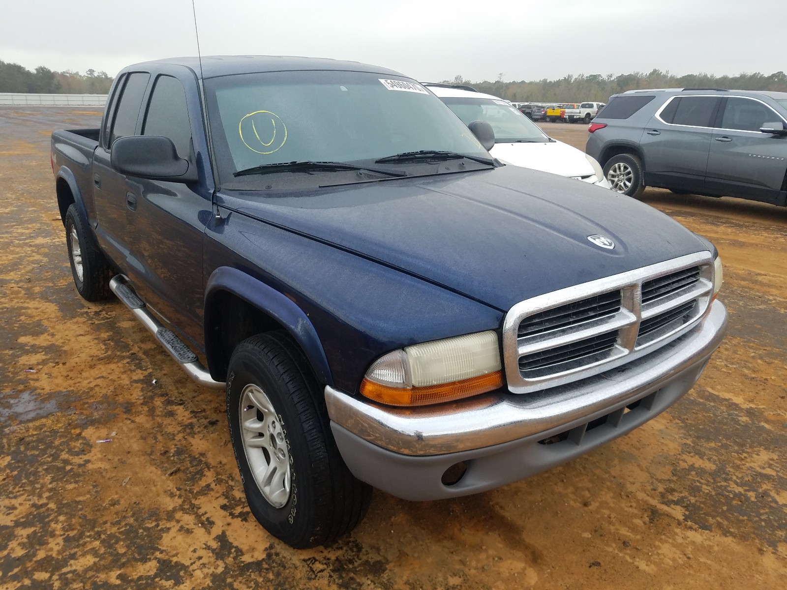 DODGE DAKOTA QUA 2004 1d7hg48n04s622393