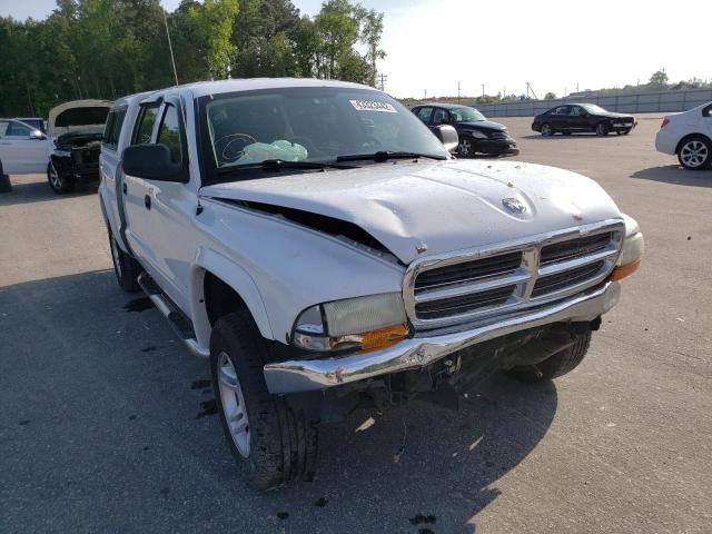 DODGE DAKOTA QUA 2004 1d7hg48n24s552833