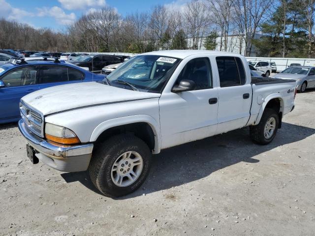 DODGE DAKOTA 2004 1d7hg48n24s560074