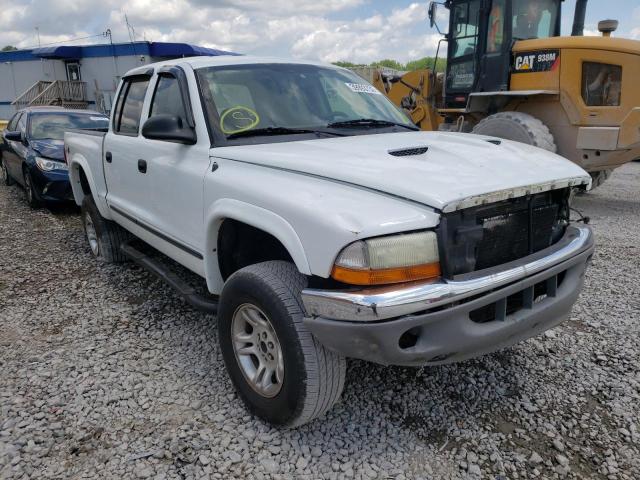 DODGE DAKOTA QUA 2004 1d7hg48n64s528132