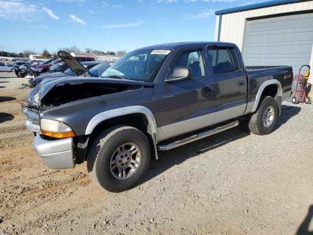 DODGE DAKOTA 2004 1d7hg48n64s764456