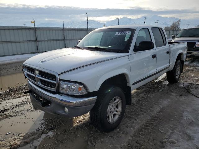 DODGE DAKOTA 2004 1d7hg48n84s509811