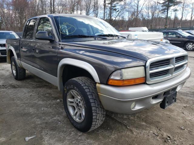 DODGE DAKOTA QUA 2004 1d7hg48n84s510215