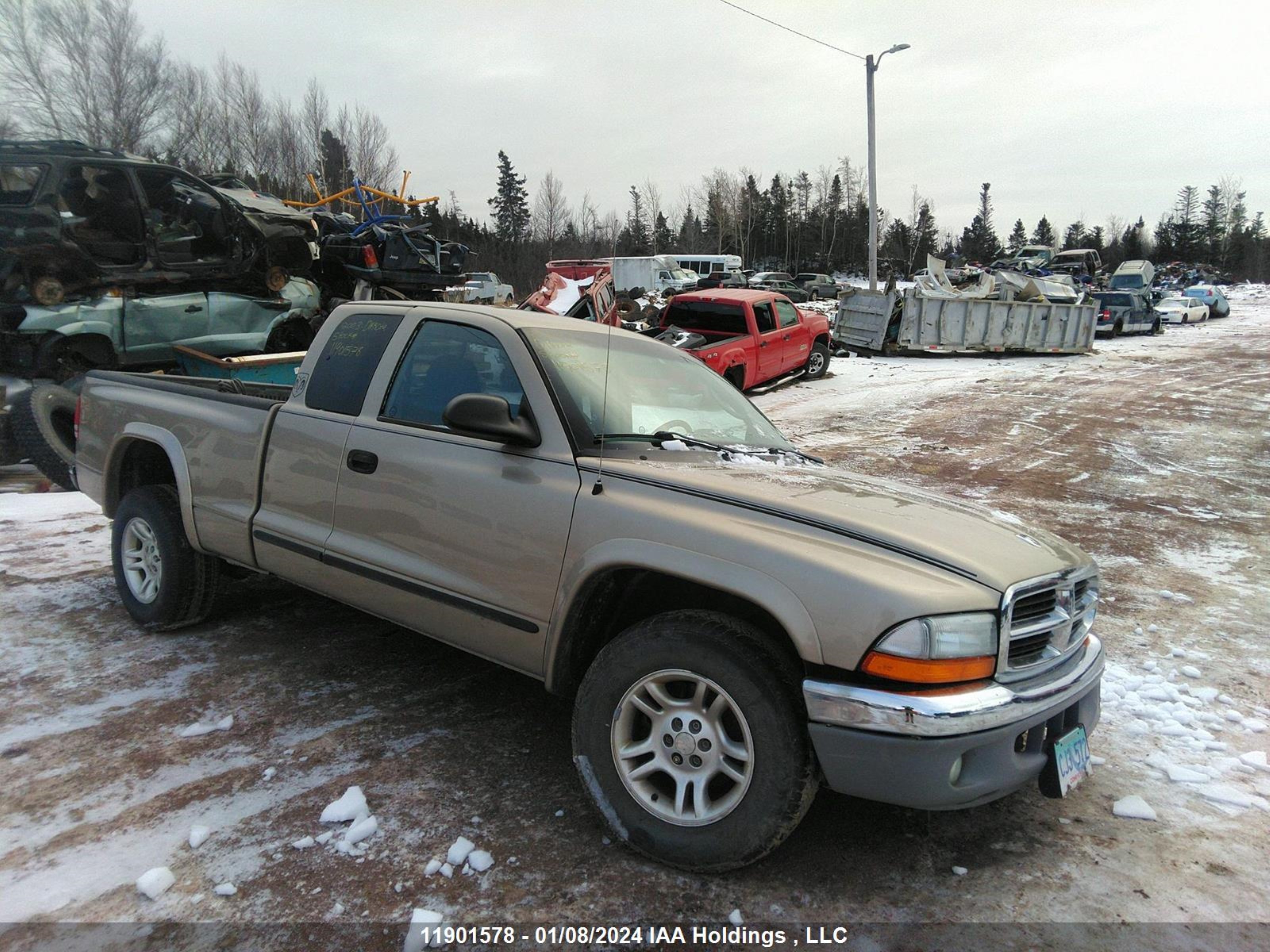 DODGE DAKOTA 2003 1d7hl42n73s191859