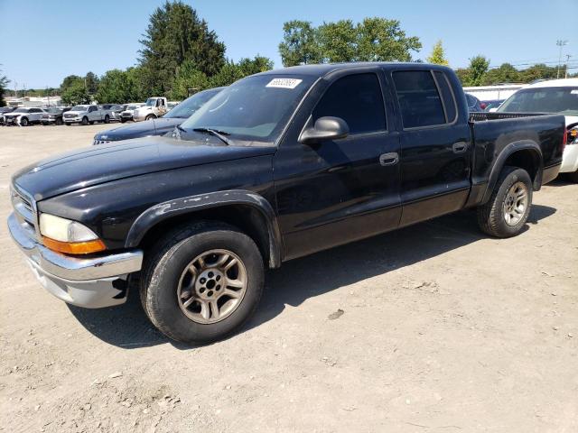 DODGE DAKOTA QUA 2004 1d7hl48n14s750671