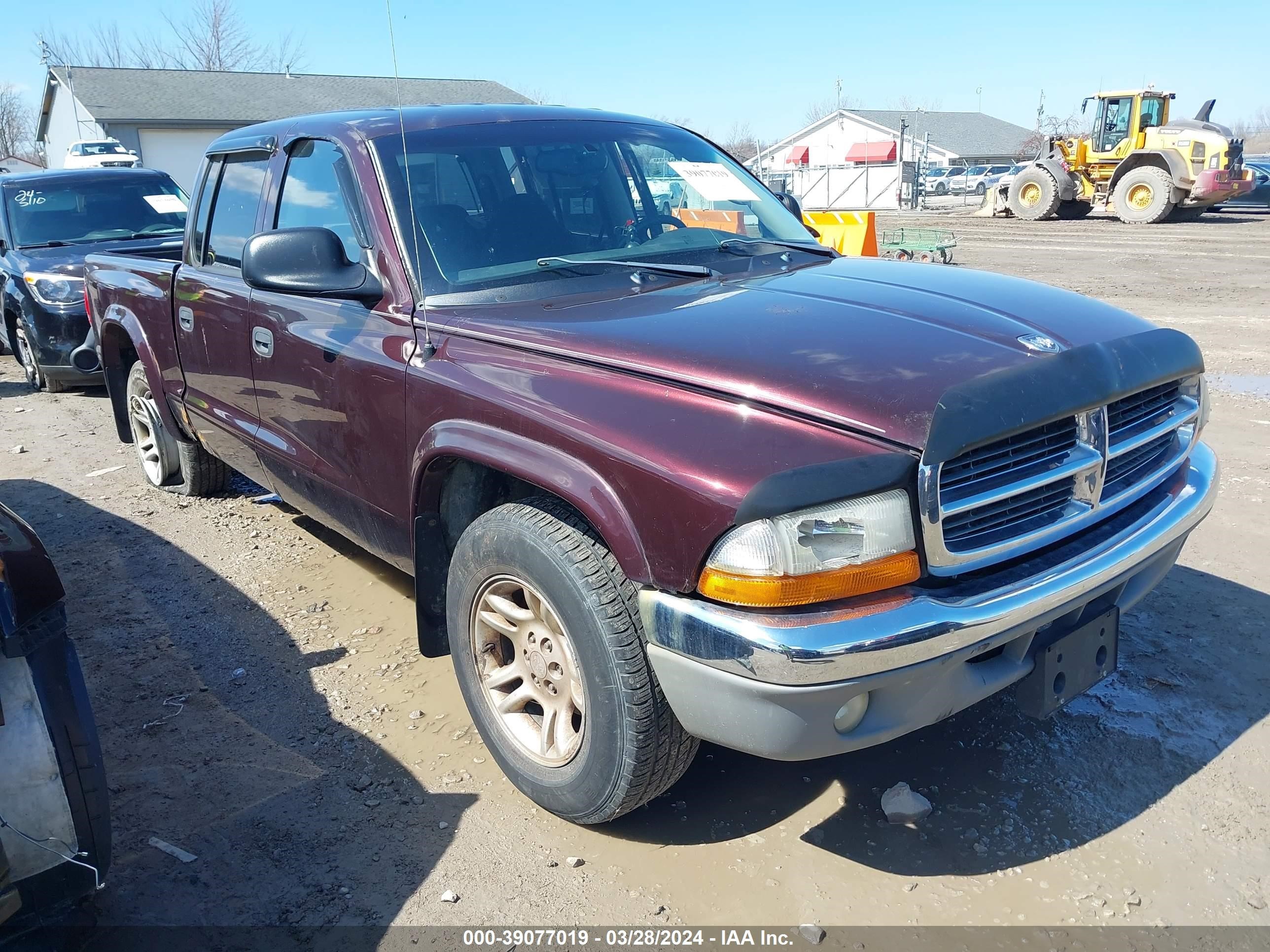 DODGE DAKOTA 2004 1d7hl48n34s674807