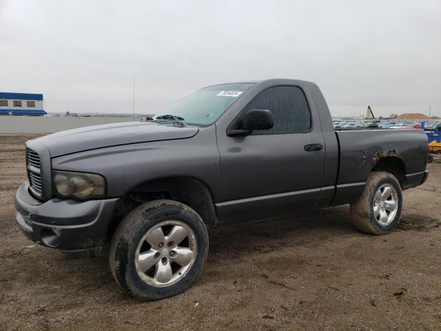 DODGE RAM 1500 2002 1d7hu16n12j215910