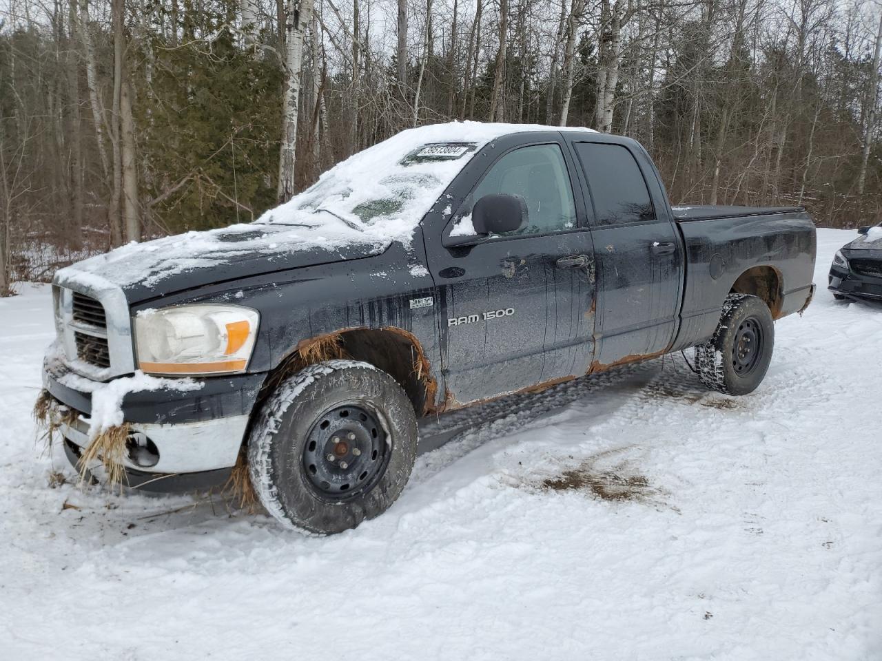 DODGE RAM 2006 1d7hu18206s564608