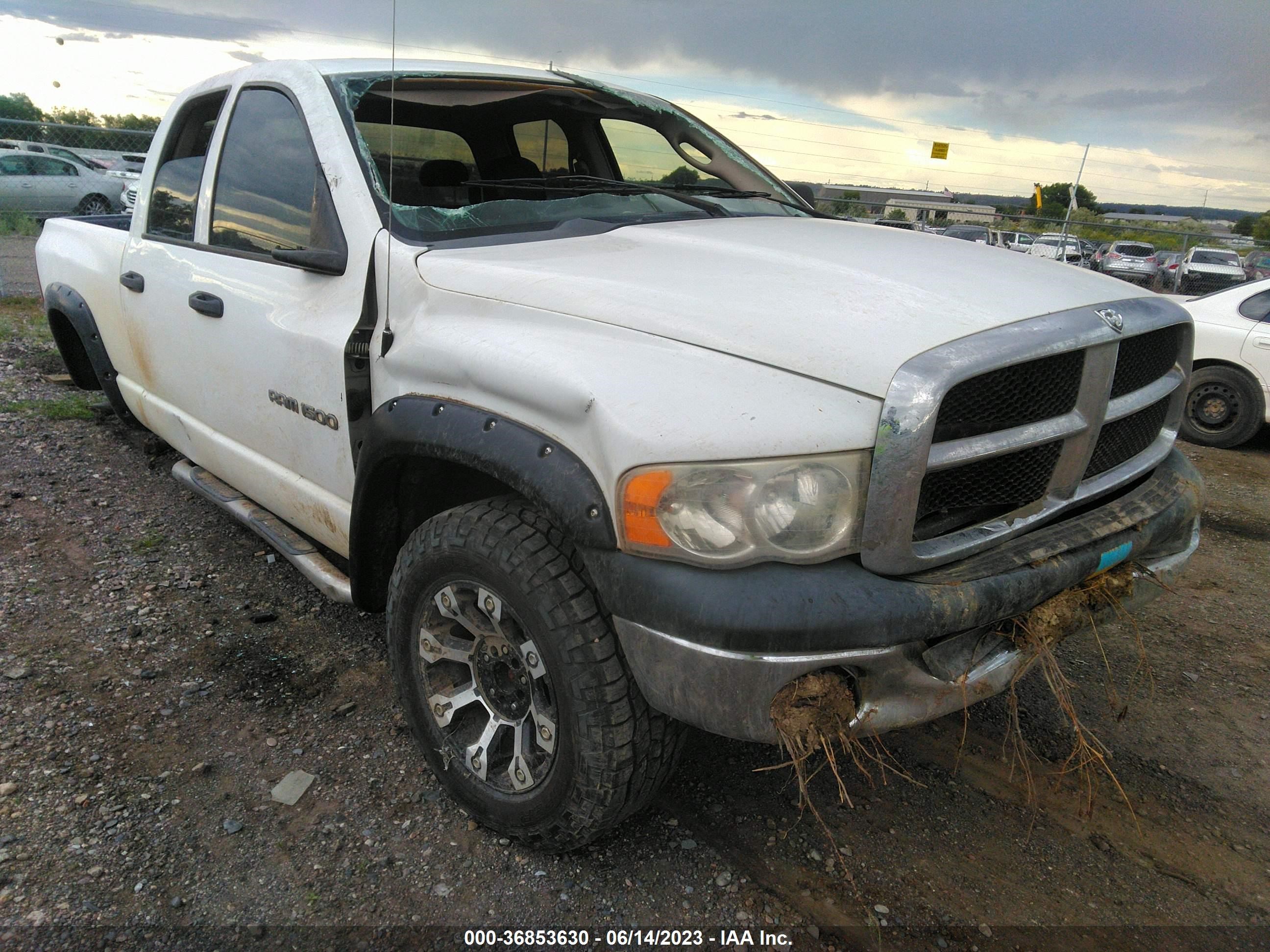 DODGE RAM 2005 1d7hu18d95j600057