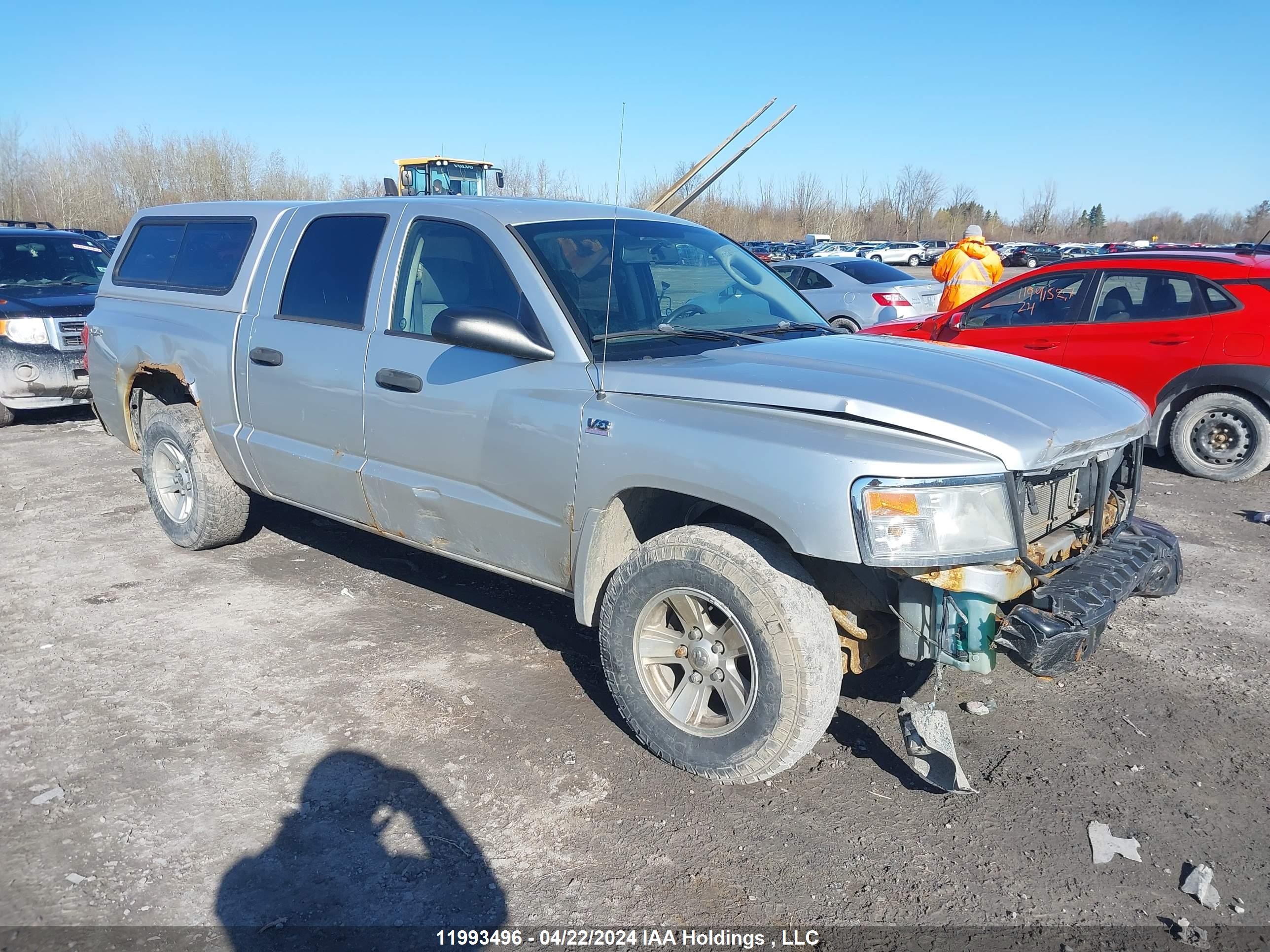 DODGE DAKOTA 2009 1d7hw38p29s783849