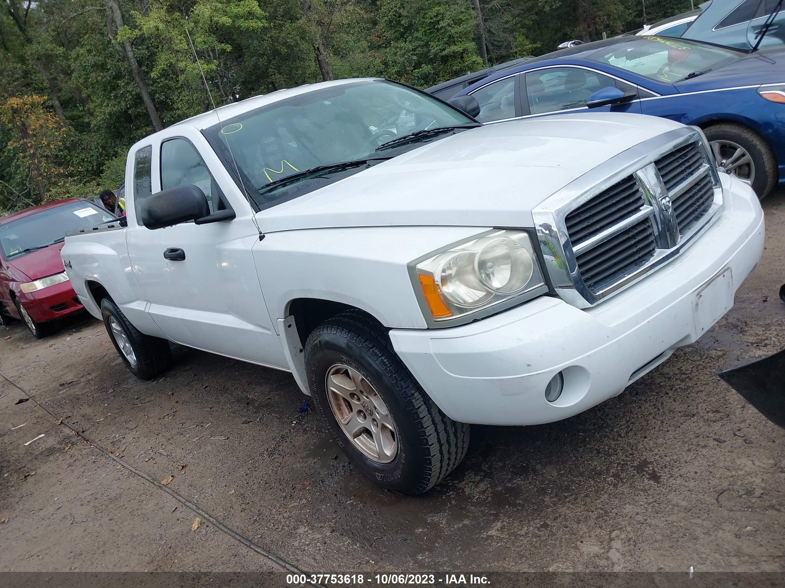 DODGE DAKOTA 2006 1d7hw42n16s596045