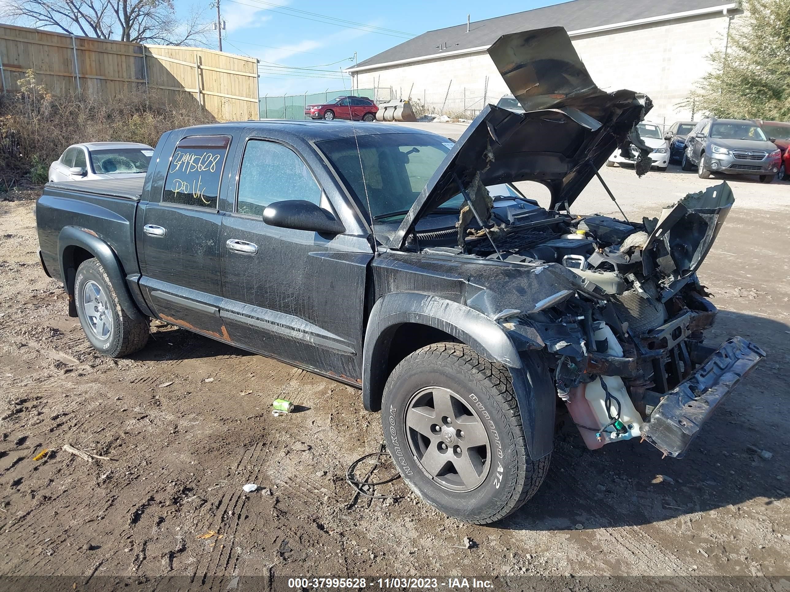 DODGE DAKOTA 2006 1d7hw48j86s710854