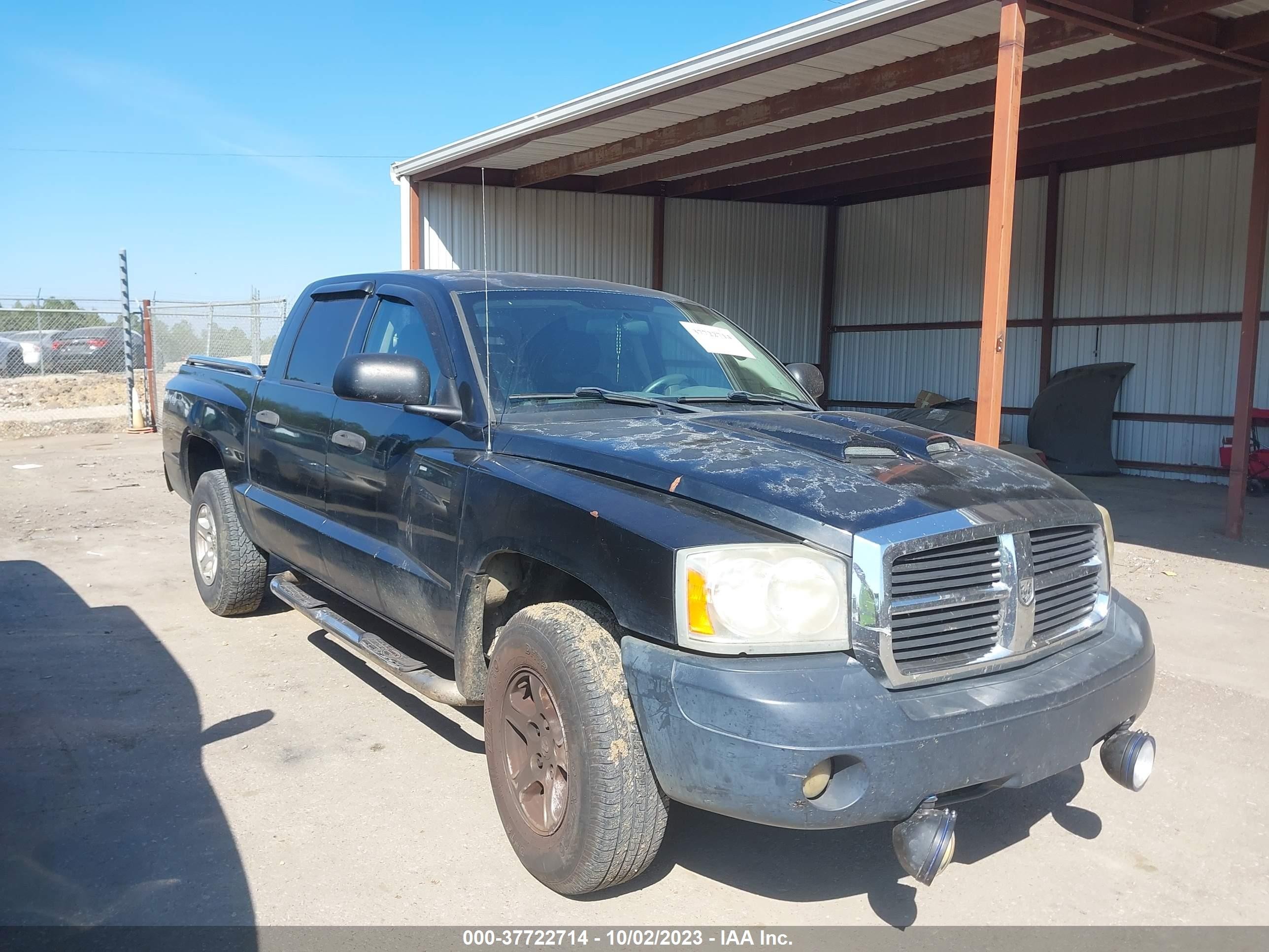 DODGE DAKOTA 2005 1d7hw48n05s341943