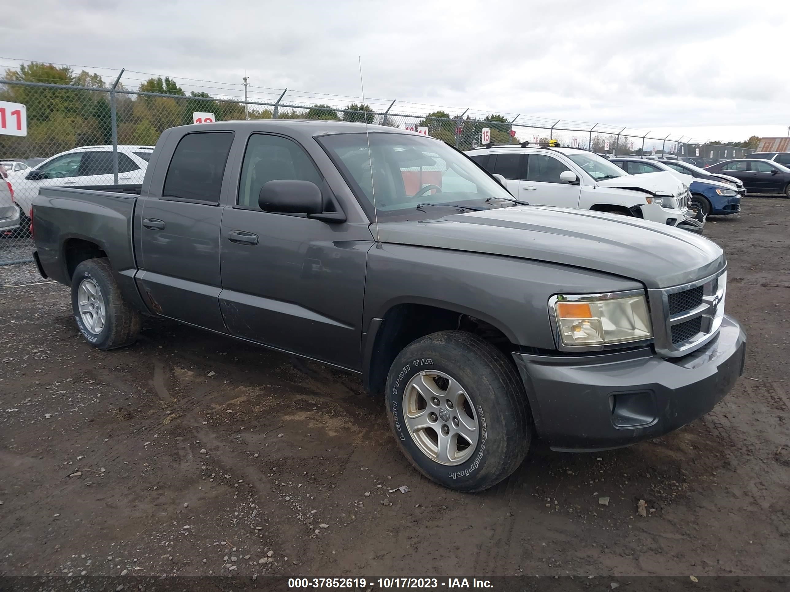 DODGE DAKOTA 2008 1d7hw48n28s535359