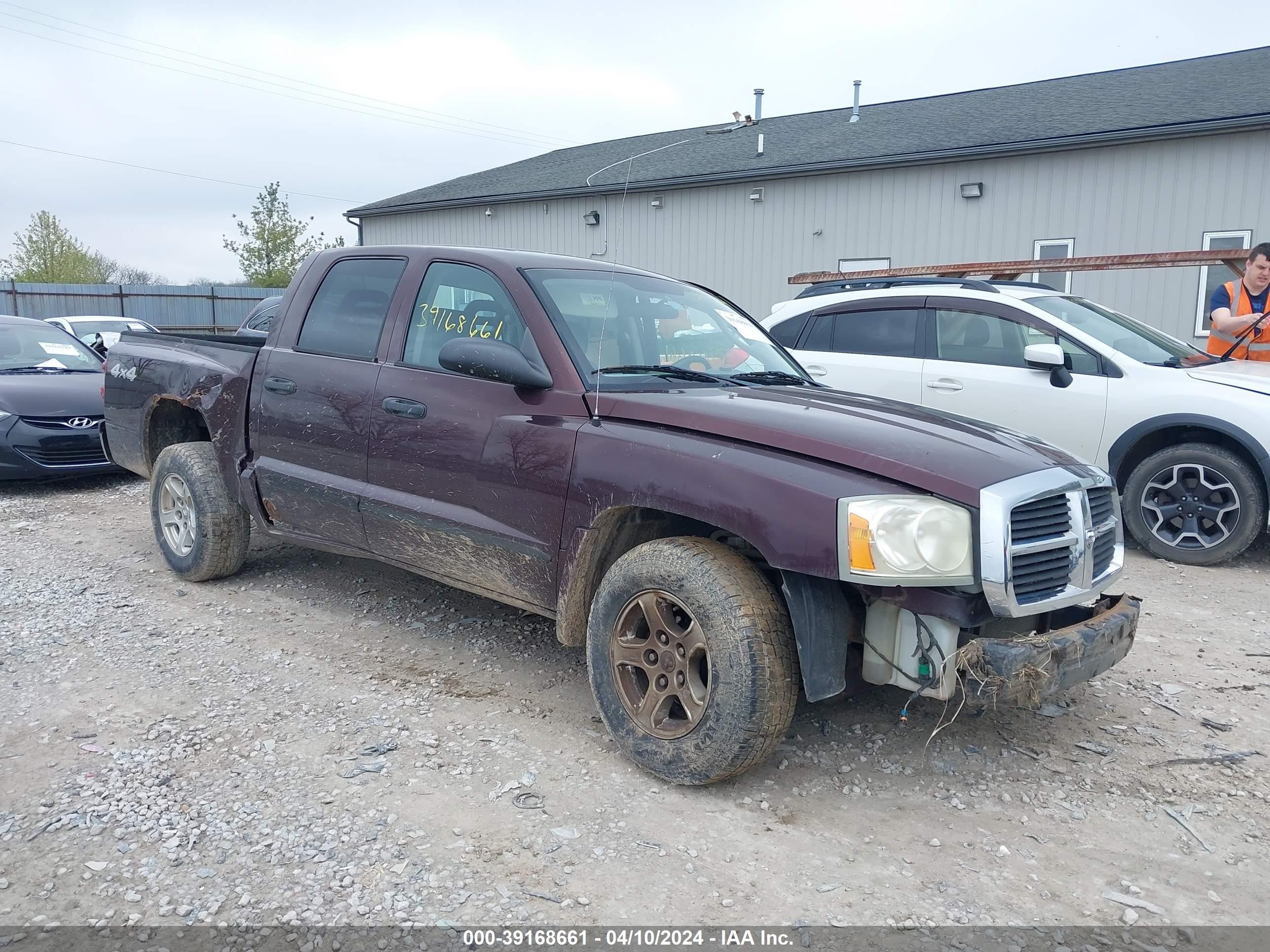 DODGE DAKOTA 2005 1d7hw48n65s127166