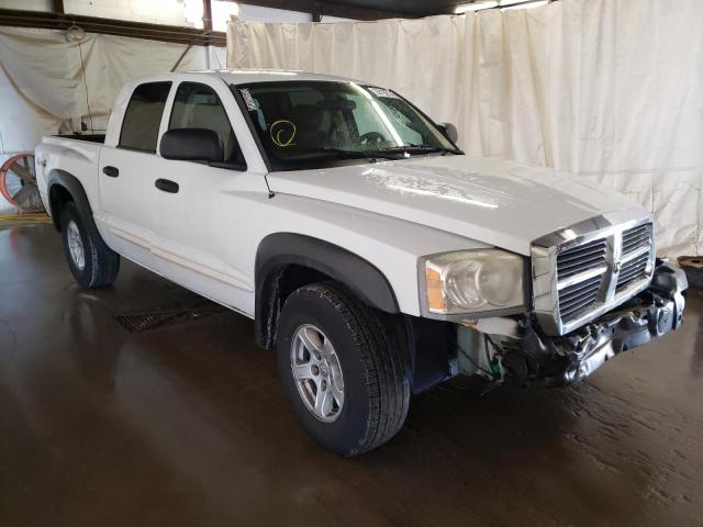 DODGE DAKOTA QUA 2005 1d7hw48n85s150304