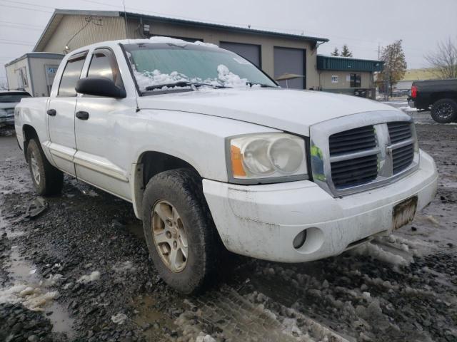 DODGE DAKOTA QUA 2005 1d7hw48n85s298033