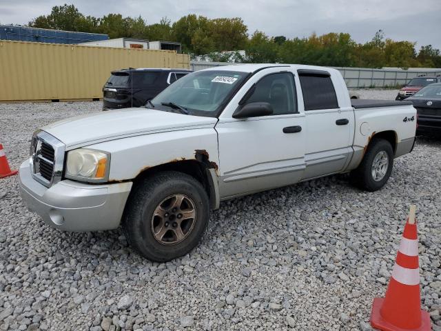 DODGE DAKOTA QUA 2005 1d7hw48n85s338420